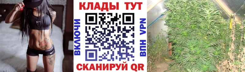 Хочу наркоту Свирск OMG зеркало  Cocaine  Мефедрон  Марихуана  ГАШ 