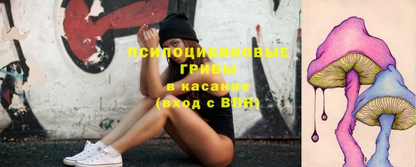 ПСИЛОЦИБИНОВЫЕ ГРИБЫ Балабаново