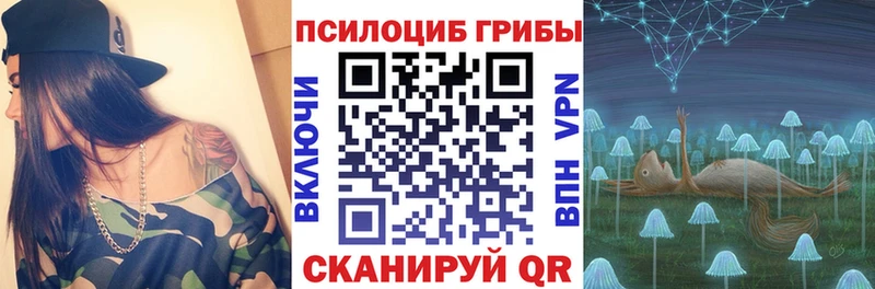 hydra tor  Свирск  Галлюциногенные грибы Magic Shrooms 
